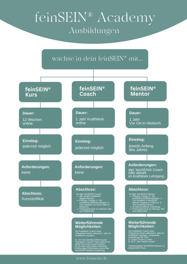 Übersicht Kurse und Ausbildungen feinSEIN